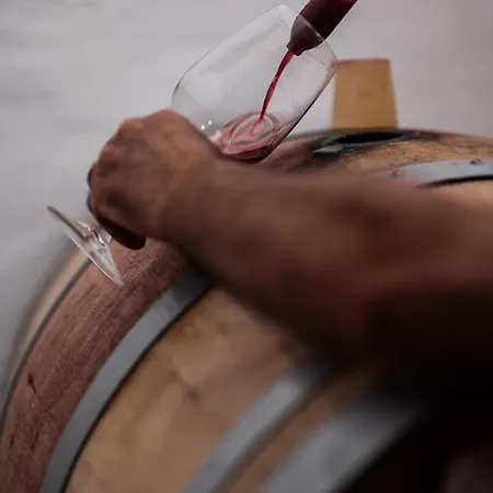 Ca Lovisotto Apartman Prepotto