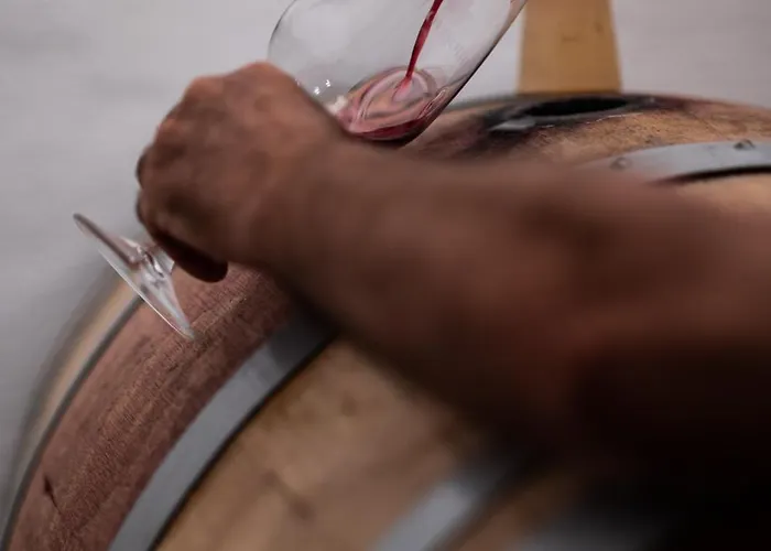 Ca Lovisotto Apartman Prepotto